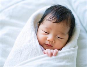 宸字取名带木字旁女孩名字推荐与寓意解析