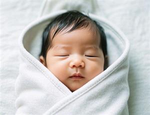 木缺一点女孩取名宝典：补木好名精选推荐